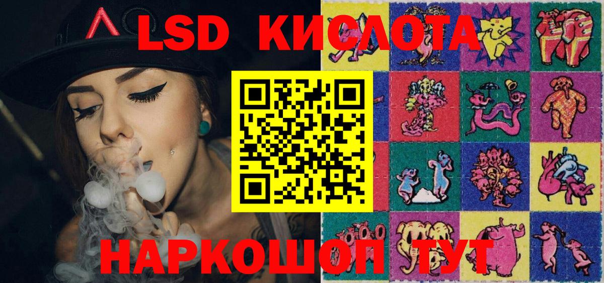 Новозыбков  Наркотические марки 1500мкг  Наркотические марки 1500мкг  Наркотические марки  Вход с VPN 