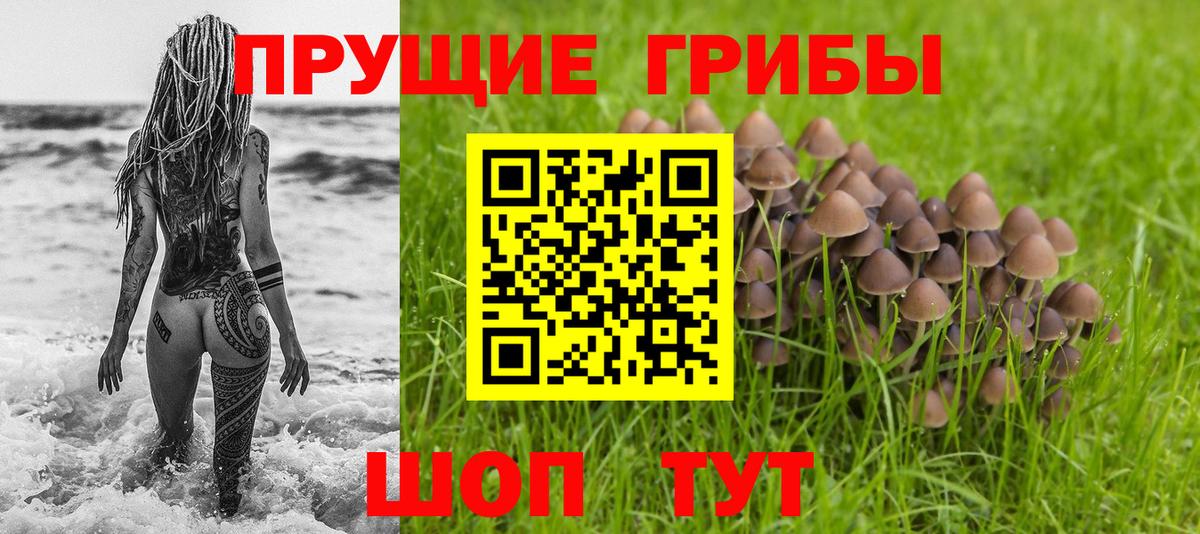 Новозыбков  Галлюциногенные грибы ЛСД  где купить   Вход с VPN  Псилоцибиновые грибы мухоморы 